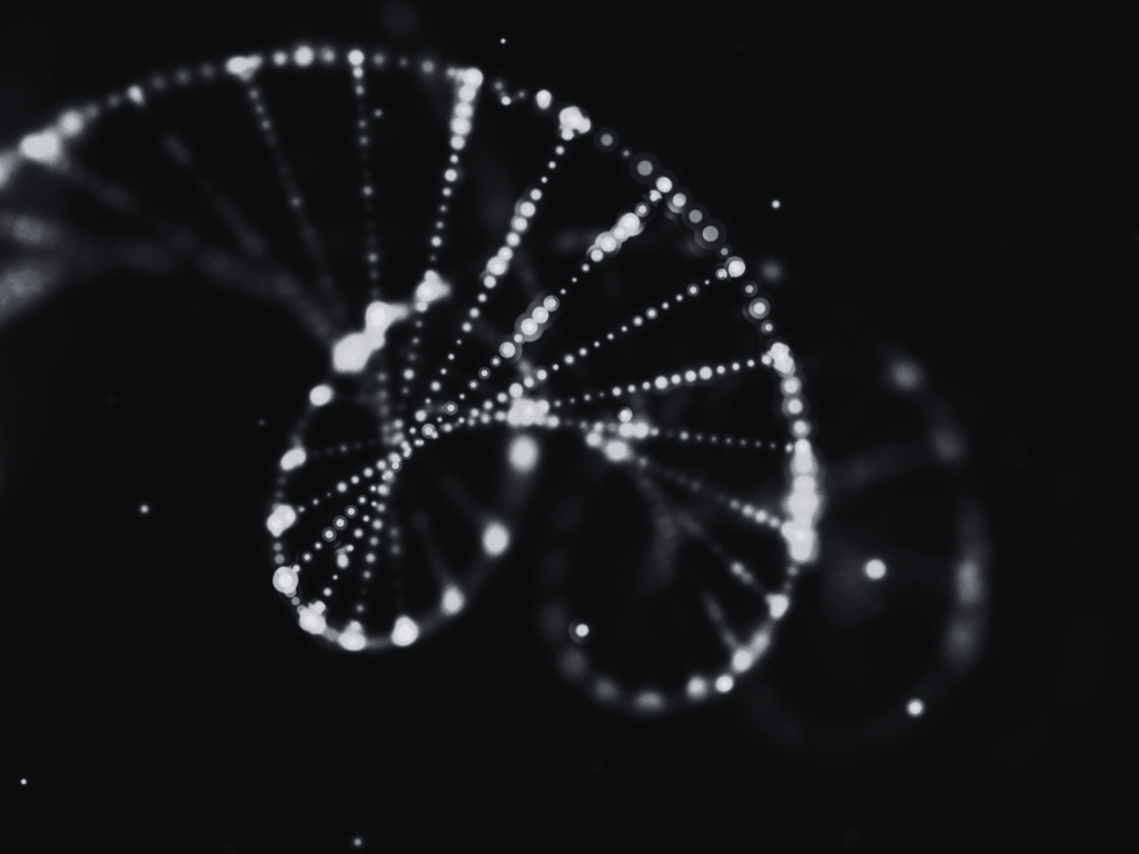 L'evoluzione non è la fine della SEO